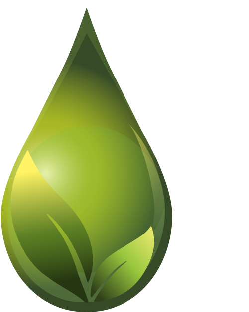 Contacts - Scents from Nature