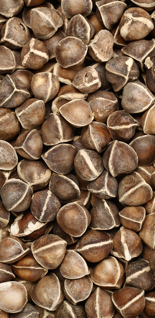 Vegetable Oils by Scents from Nature