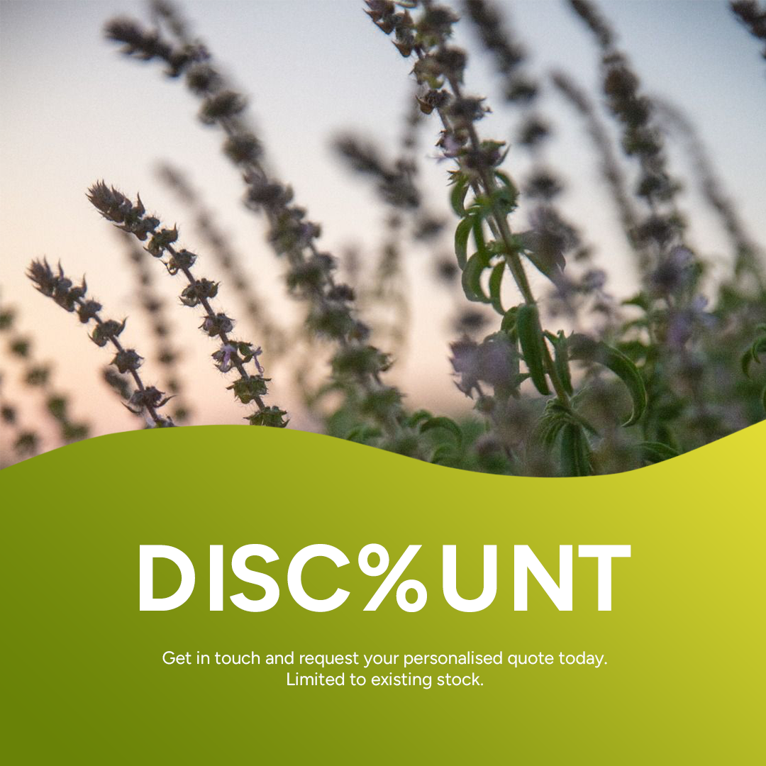 Angolan Basil Organic Essential Oil
