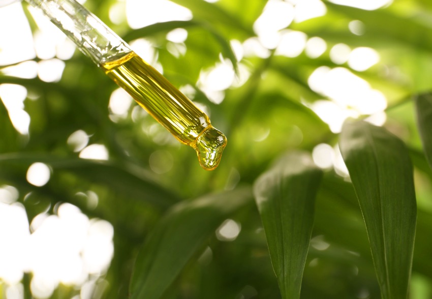 Vegetable oils in natural cosmetics