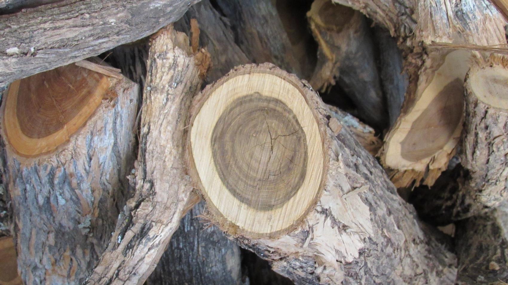 Muhuhu African Sandalwood